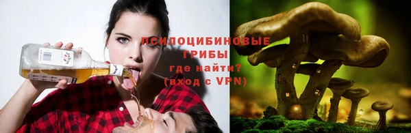 твердый Абаза