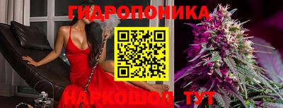 мяу мяу мука Лесосибирск