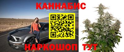 мяу мяу мука Лесосибирск