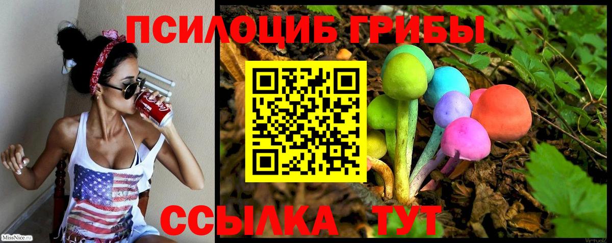 Галлюциногенные грибы Cubensis Звенигород