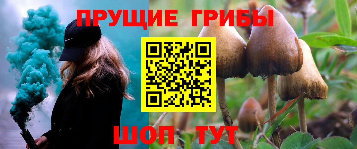 Звенигород  Псилоцибиновые грибы ЛСД  Псилоцибиновые грибы мухоморы  Вход с VPN 