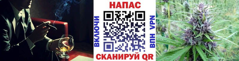 Бошки марихуана индика  сколько стоит  hydra ССЫЛКА  сайты даркнета клад  Звенигород 